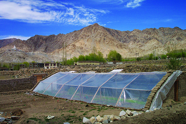 green house farming leh