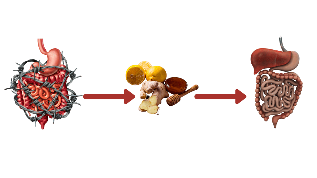 Bye-Bye! Constipation